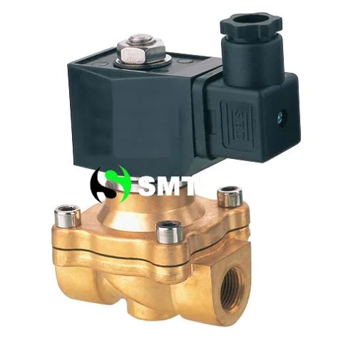 100% Tested High Quality Two Way Solenoid Valve