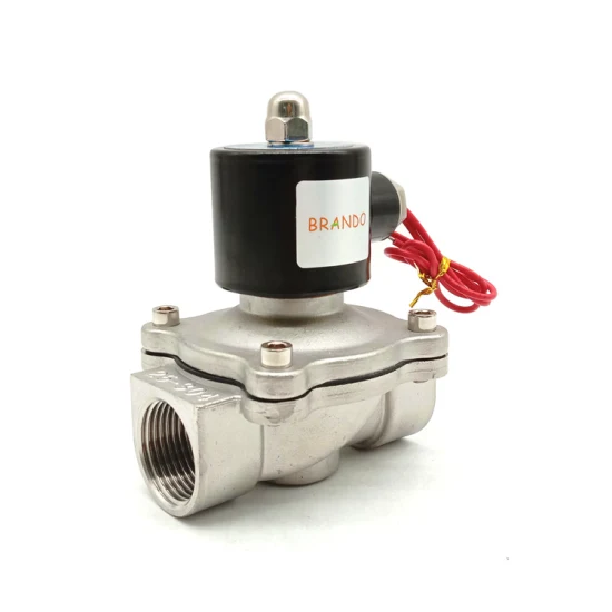 1′′ 2S250-25 SUW-25 2/2 Way Normally Closed SS 304 Direct Acting Electric Solenoid Valve For Water Oil Gas Air 24V 110V 220V
