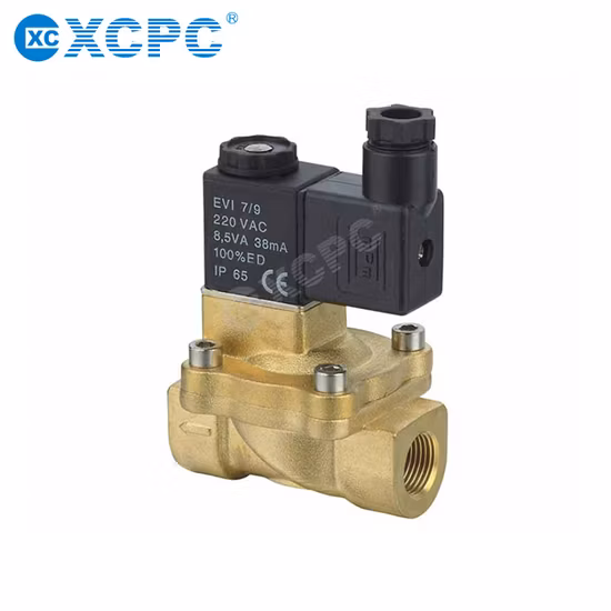 High Temperature Solenoid Valve (YCPG31)