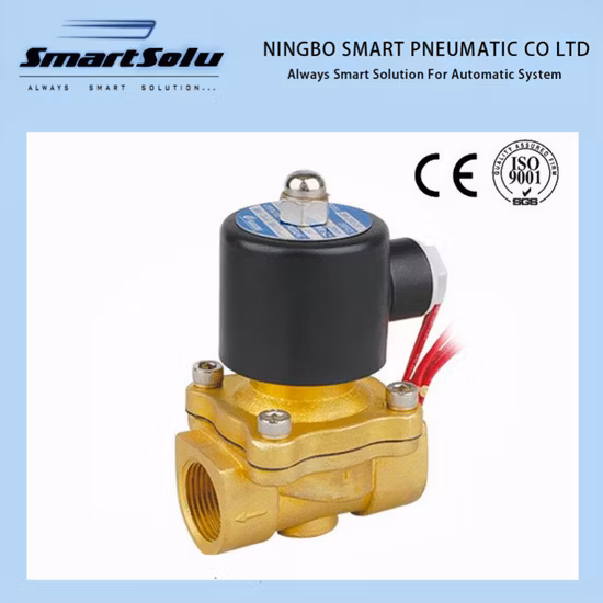 100% Tested High Quality Two Way Solenoid Valve
