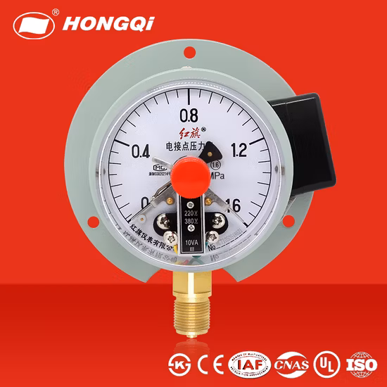 4 Inch Clamp Connection Diaphragm Seal Pressure Gauge with Electric Contact