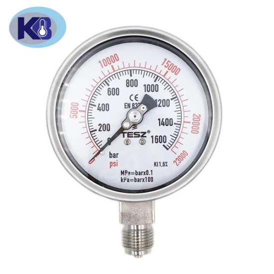 All Stainless Steel Pressure Gauge by Kpa MPa Bar with Oil Filled Diaphragm Seal 316L OEM