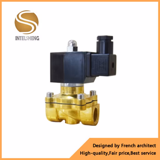 2 Way Brass Water & Air Direct Acting Solenoid Valve