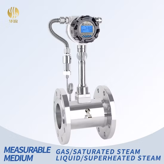 Digital Vortex Flow Meter -80
