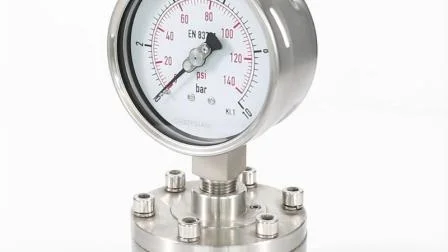 Diaphragm Pressure Gauge-Sanitary Diaphragm Seals-Hygiene Diaphragm Pressure Gauge Manufacturer