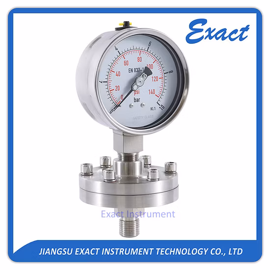 Diaphragm Pressure Gauge-Sanitary Diaphragm Seals-Hygiene Diaphragm Pressure Gauge Manufacturer